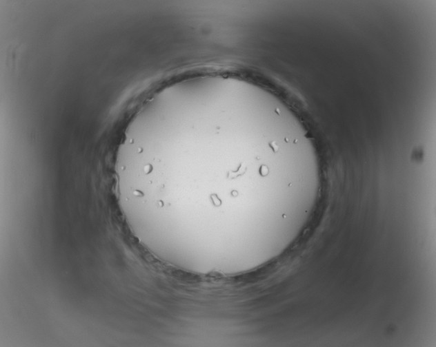 X0000115191447200911251409