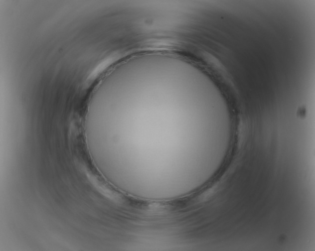 X0000115191449200911251409