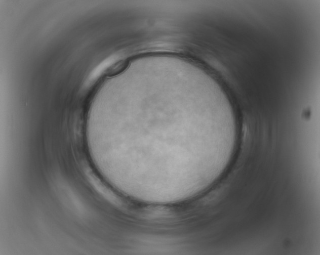 X0000115191450200911251409