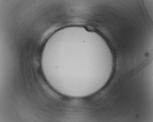 X0000115191451200911251409