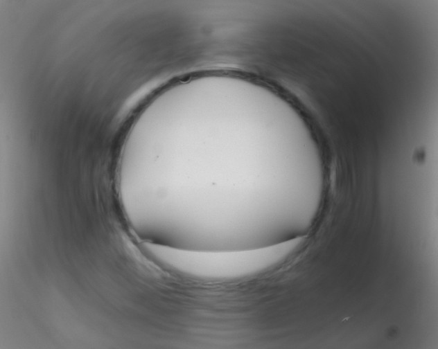 X0000115191452200911251409