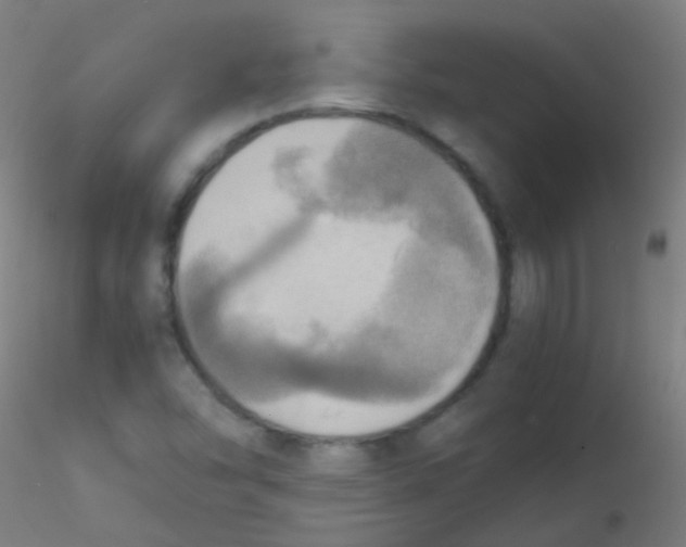 X0000115191454200911251409