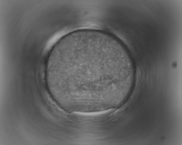 X0000115191455200911251409