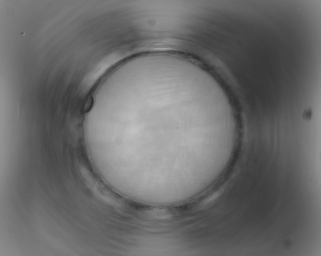 X0000115191457200911251409