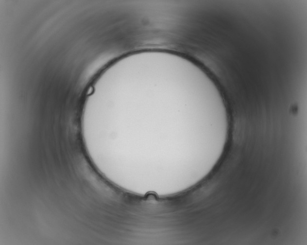 X0000115191458200911251409