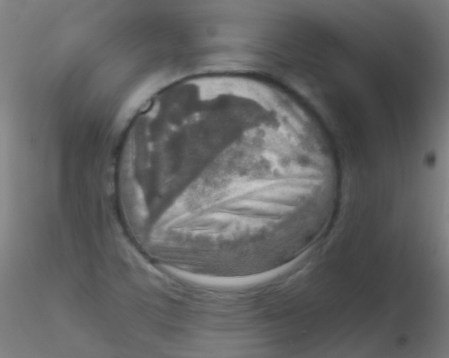 X0000115191459200911251409