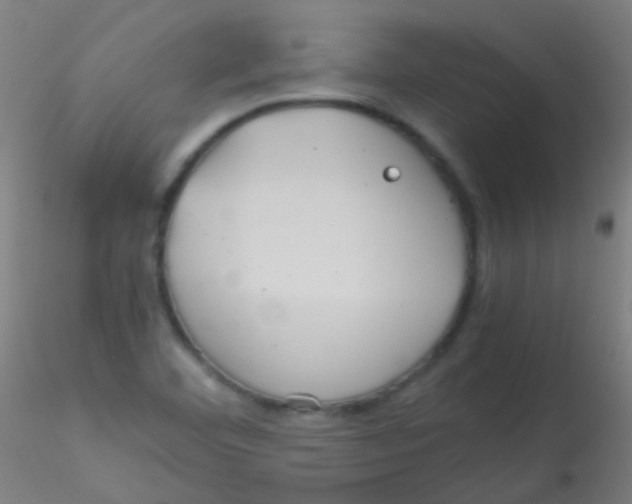 X0000115191460200911251409