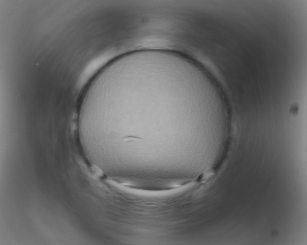 X0000115191461200911251409