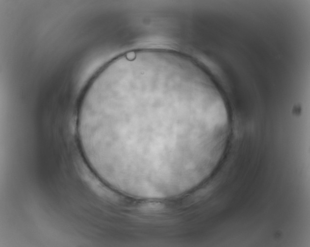 X0000115191462200911251409