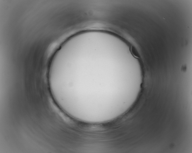 X0000115191464200911251409