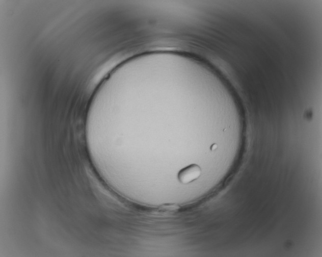 X0000115191465200911251409