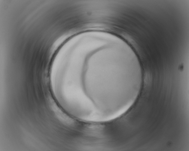 X0000115191466200911251409