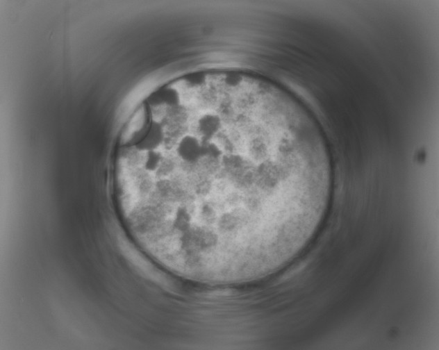 X0000115191467200911251409