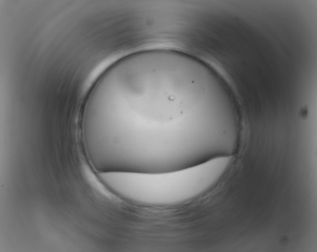 X0000115191468200911251408