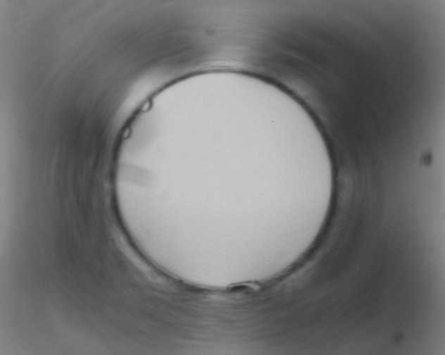 X0000115191469200911251408