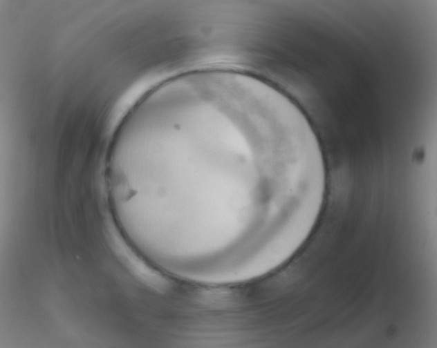 X0000115191470200911251408