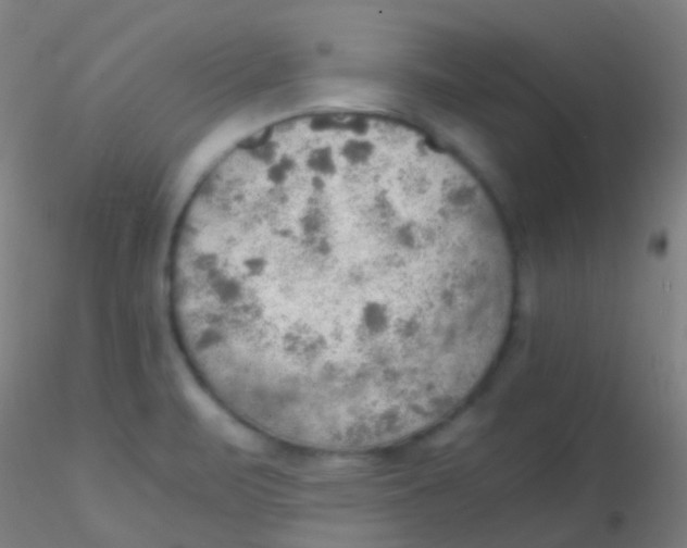 X0000115191471200911251408