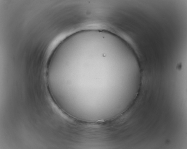 X0000115191472200911251408