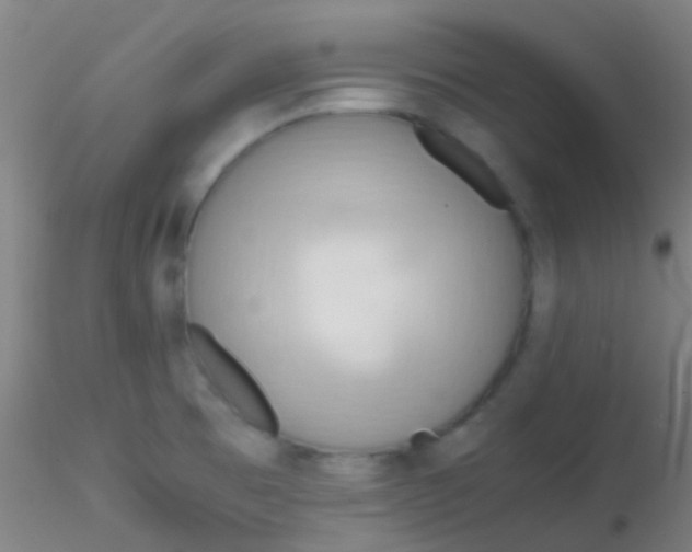 X0000115191473200911251408