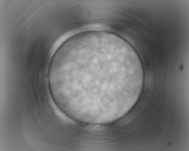 X0000115191474200911251408