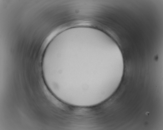 X0000115191475200911251408