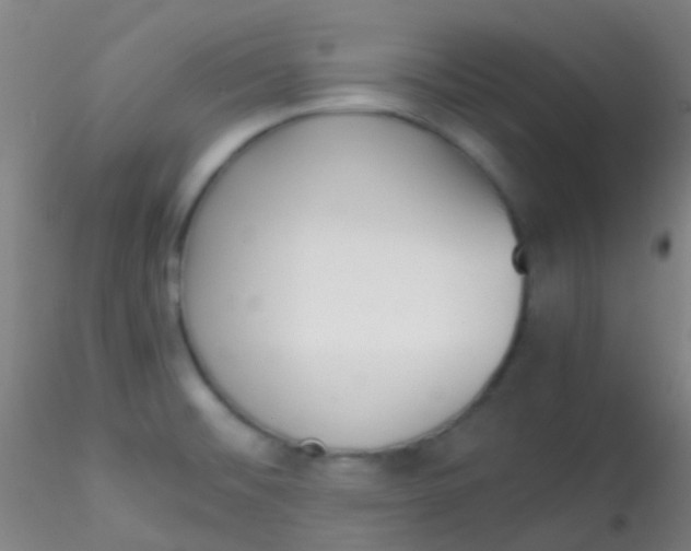 X0000115191476200911251408