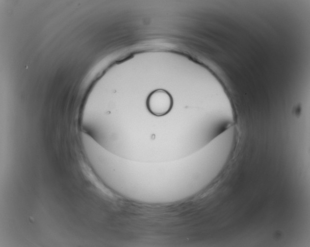 X0000115191477200911251408