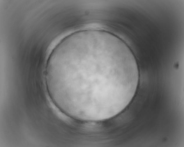 X0000115191478200911251408