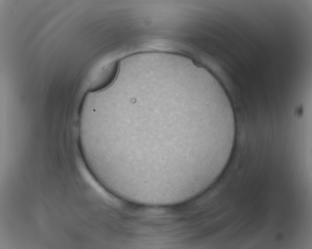 X0000115191479200911251408