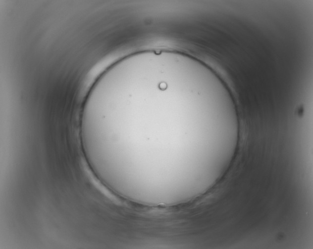 X0000115191480200911251408