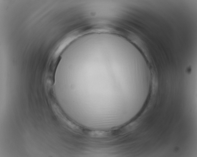 X0000115191481200911251408