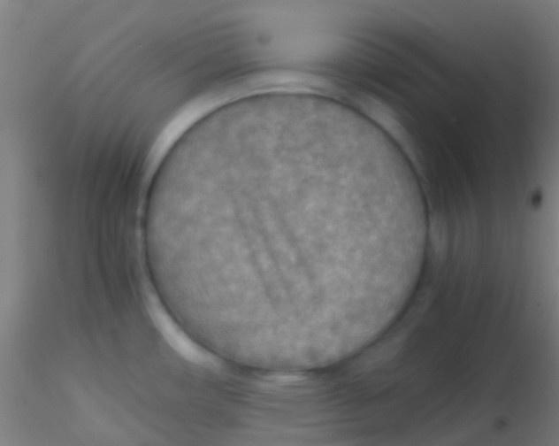 X0000115191482200911251408