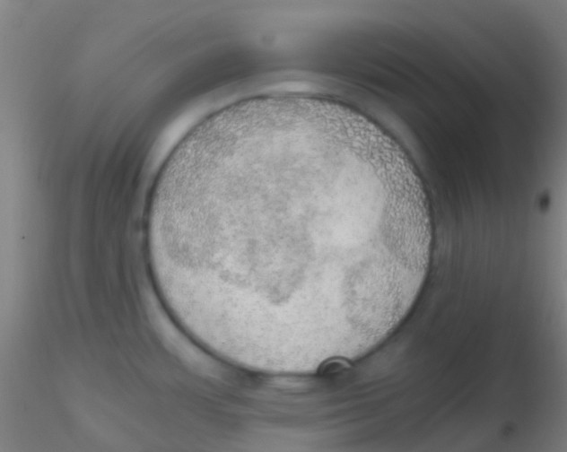 X0000115191483200911251408