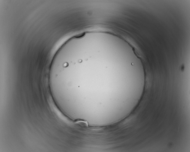 X0000115191484200911251408