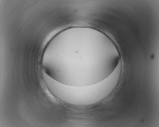 X0000115191485200911251408