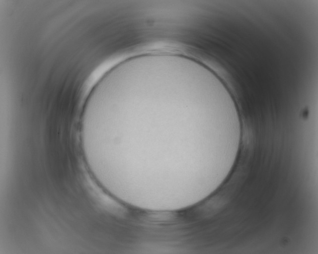 X0000115191486200911251408