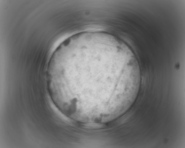 X0000115191487200911251408