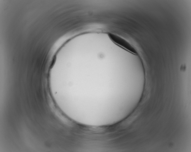 X0000115191488200911251408