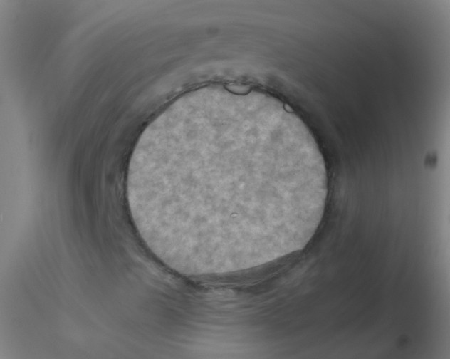 X0000115191489200911251407