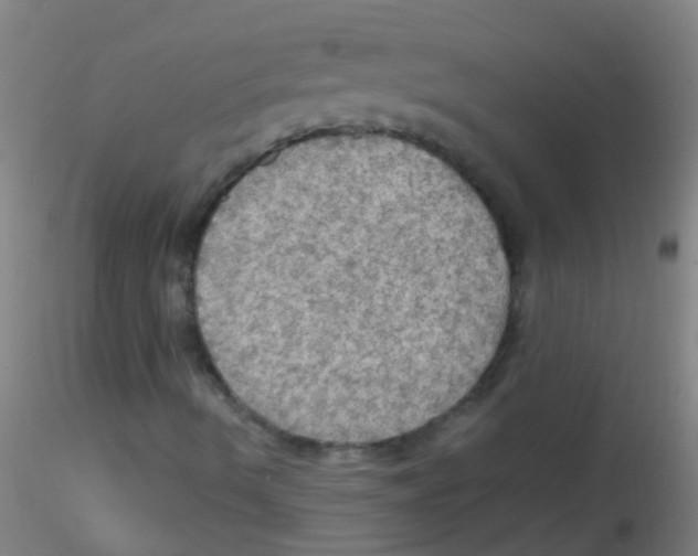 X0000115191490200911251407