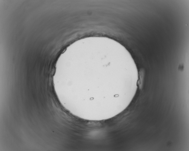 X0000115191491200911251407