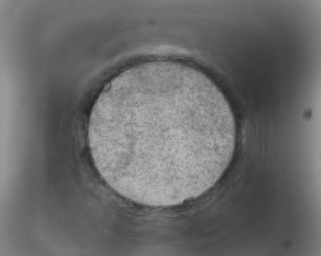 X0000115191493200911251408