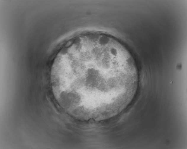 X0000115191494200911251408