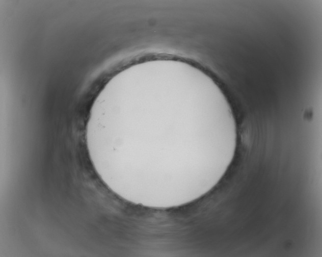 X0000115191495200911251408