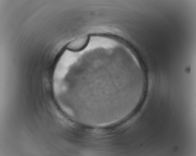 X0000115191497200911251408