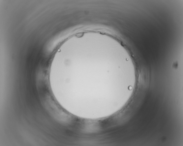 X0000115191498200911251408