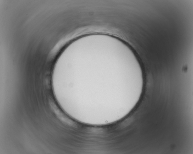 X0000115191499200911251408