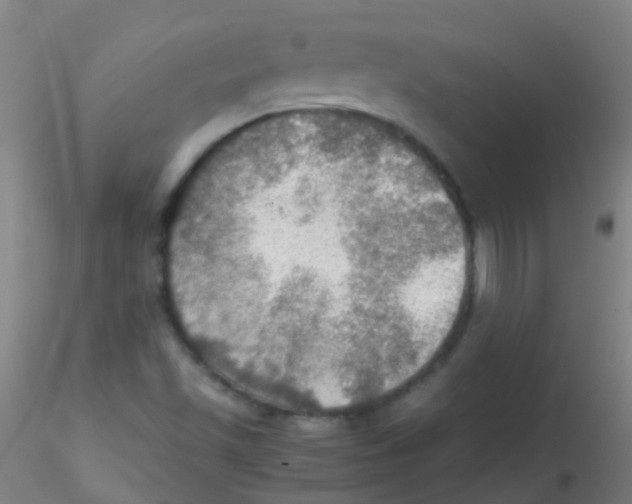 X0000115191501200911251408