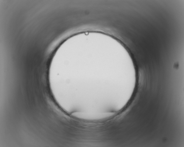 X0000115191502200911251408