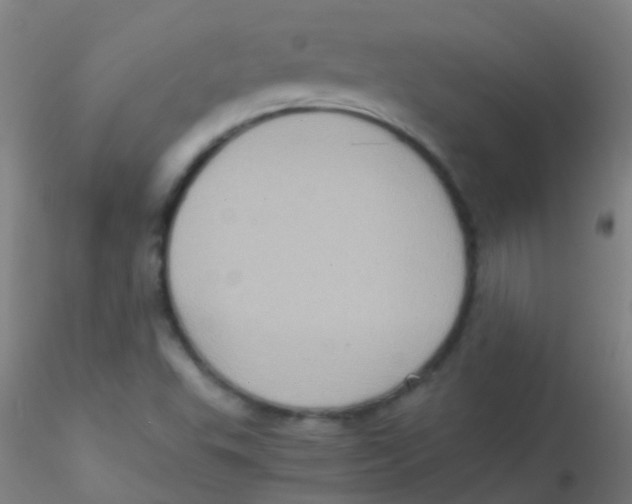 X0000115191503200911251408